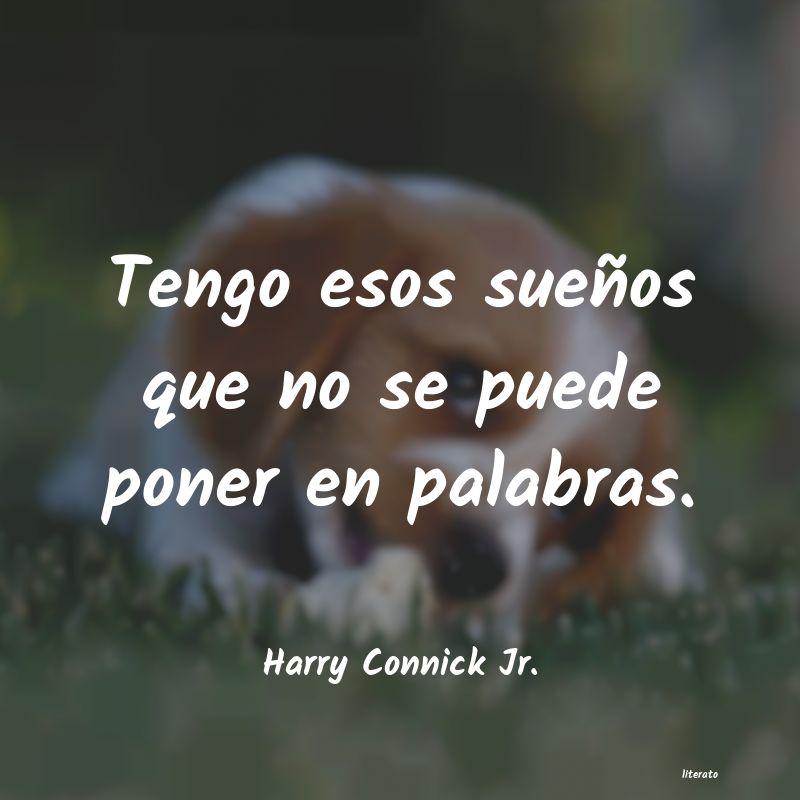 Frases de Harry Connick Jr.