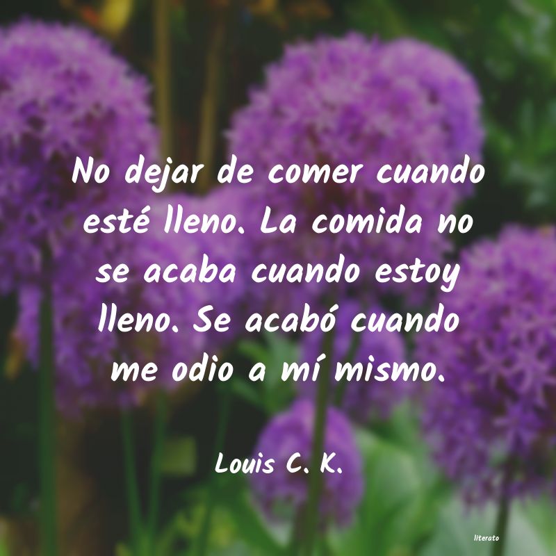 frases de Louis C. K.