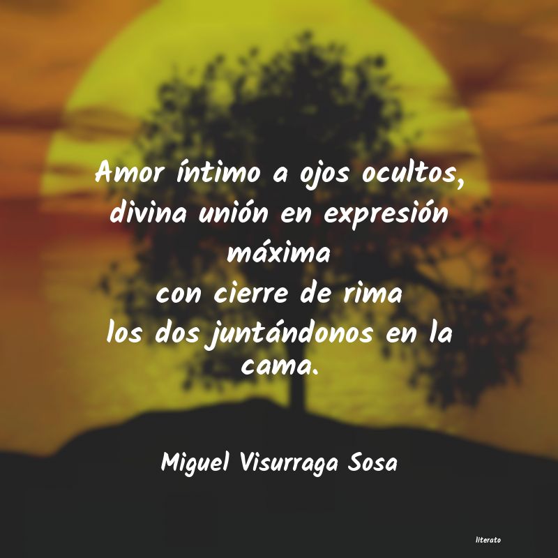 frases de Miguel Visurraga Sosa