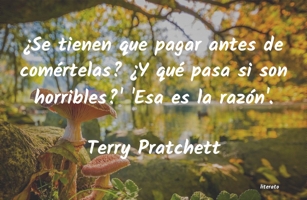 frases de Terry Pratchett
