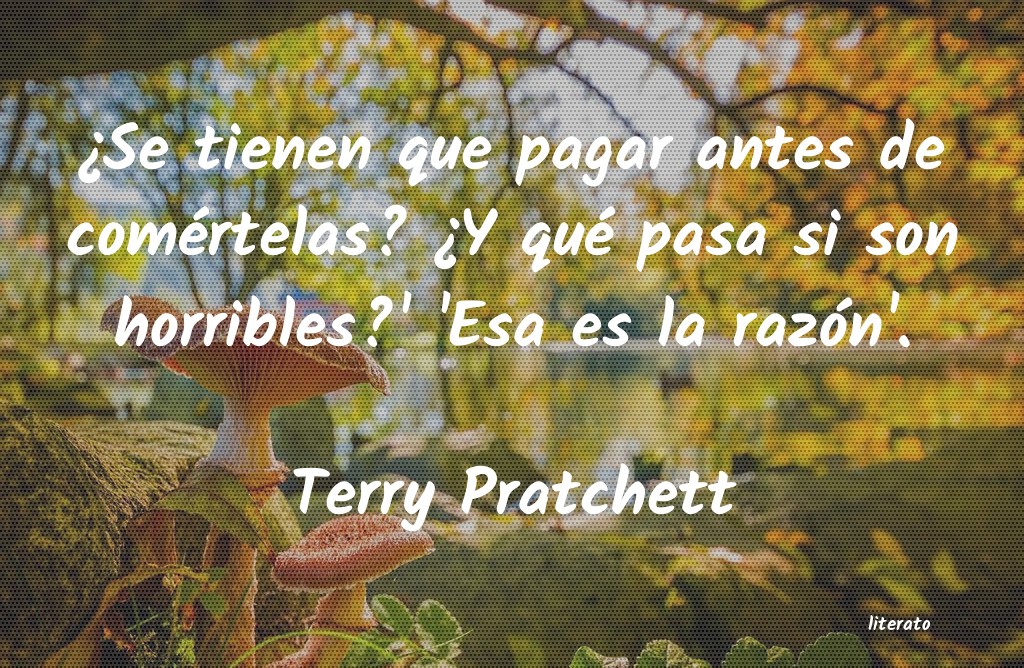 Frases de Terry Pratchett