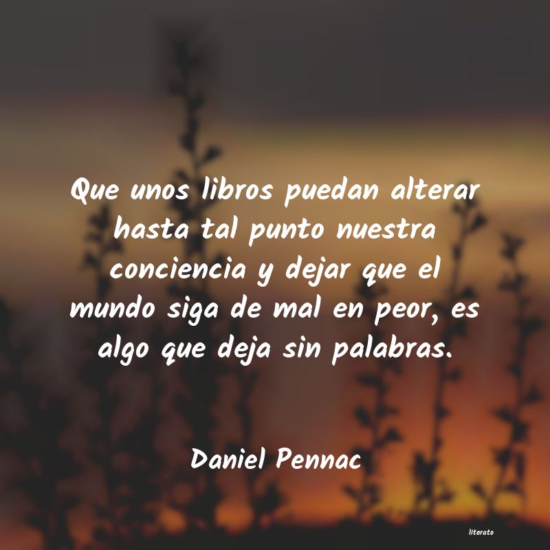 Frases de Daniel Pennac