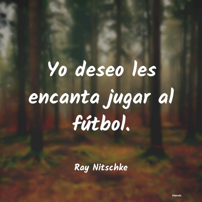 frases de Ray Nitschke