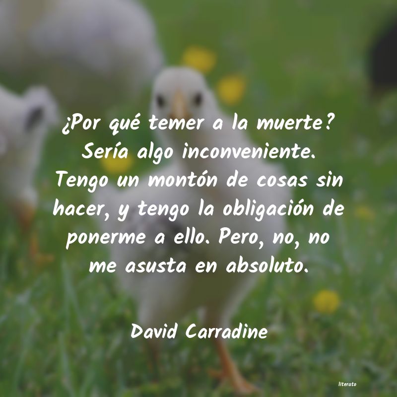 Frases de David Carradine