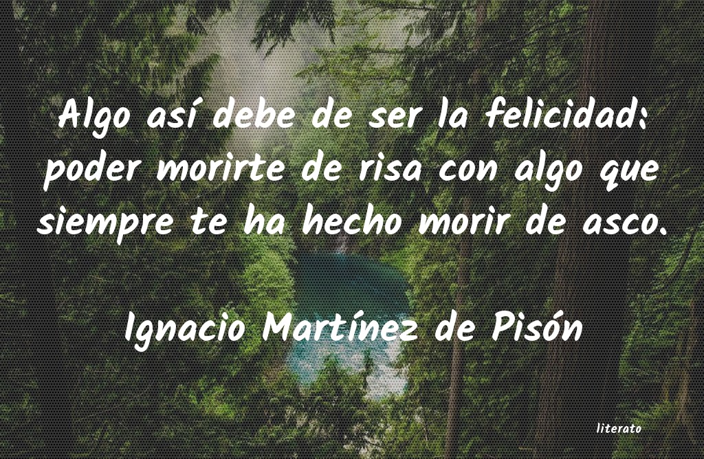frases de Ignacio MartÃnez de Pisón