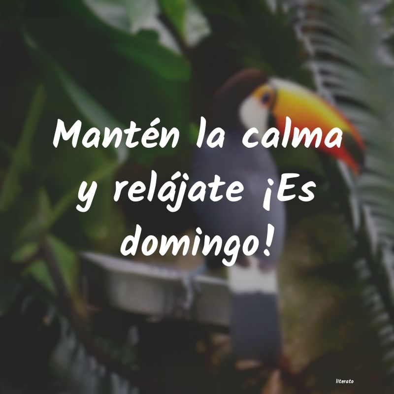 frases