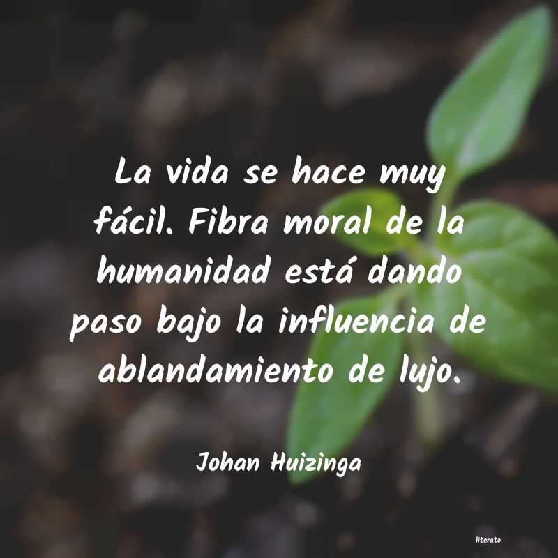 Frases de Johan Huizinga