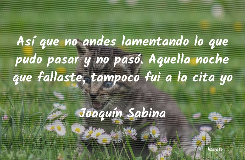 frases de JoaquÃn Sabina