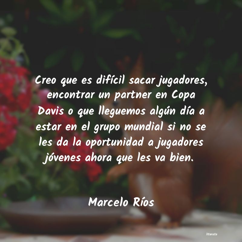 frases de Marcelo RÃos