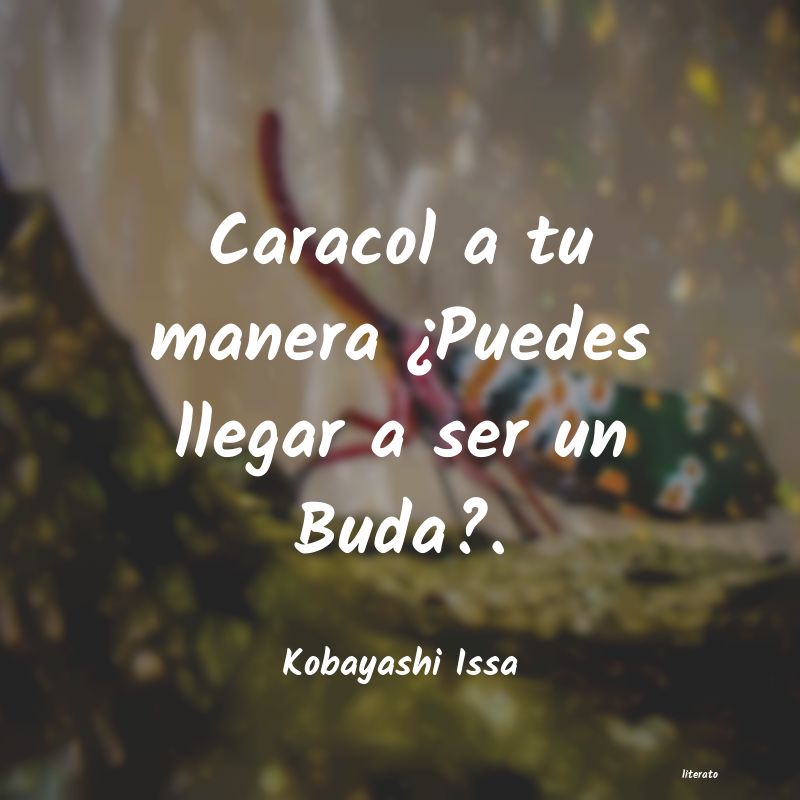 frases de Kobayashi Issa