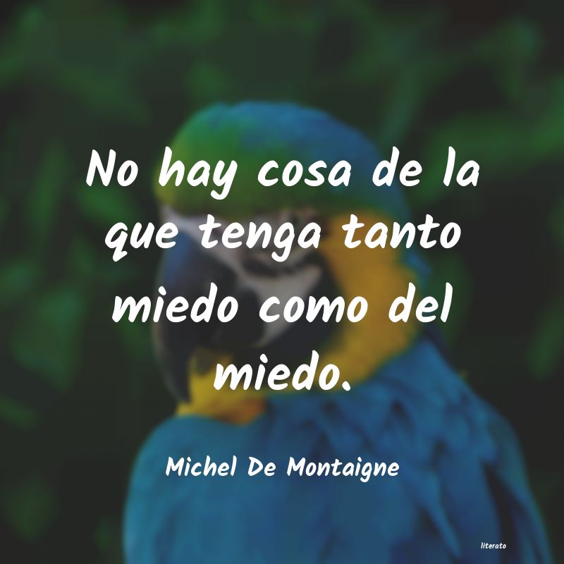 frases de Michel De Montaigne