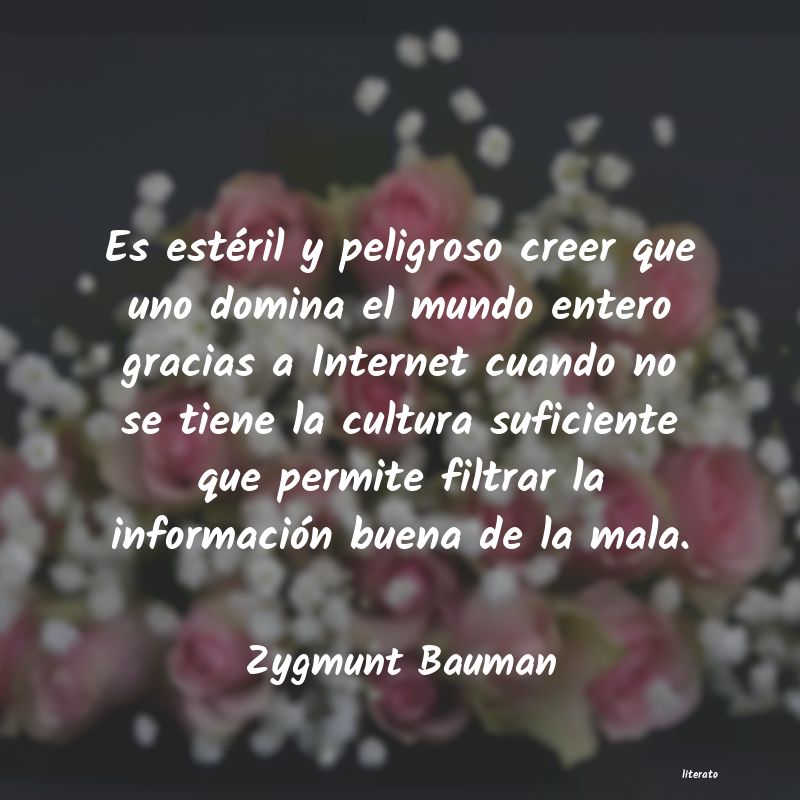 Frases de Zygmunt Bauman