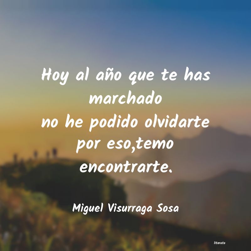 Frases de Miguel Visurraga Sosa