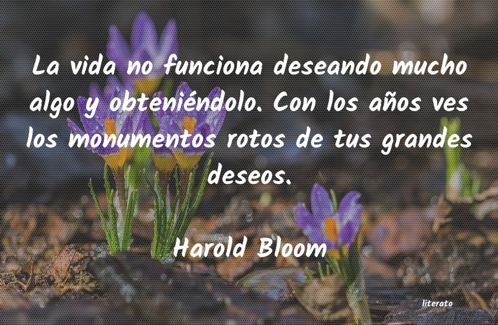 Frases de Harold Bloom