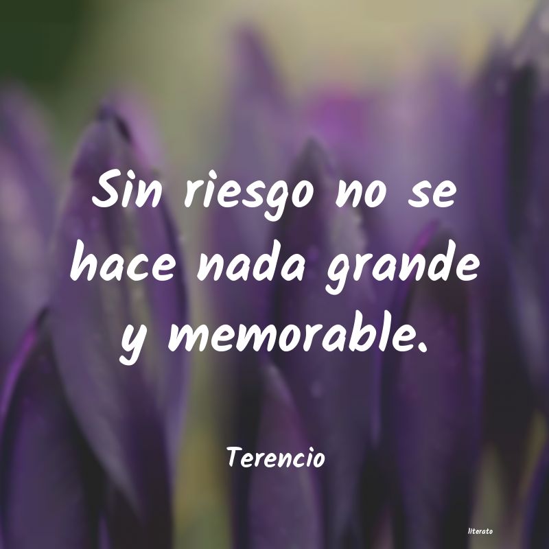 Frases de Terencio