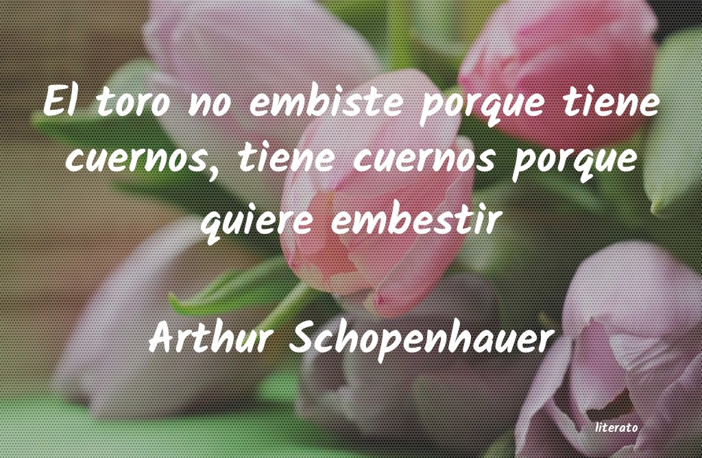 Frases de Arthur Schopenhauer