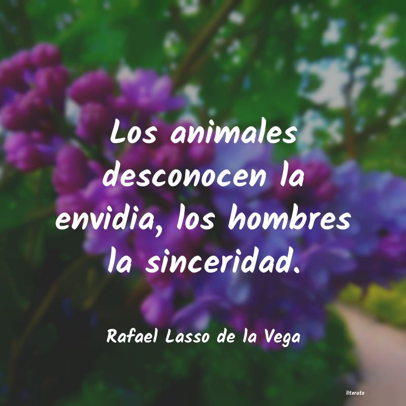Frases de Rafael Lasso de la Vega