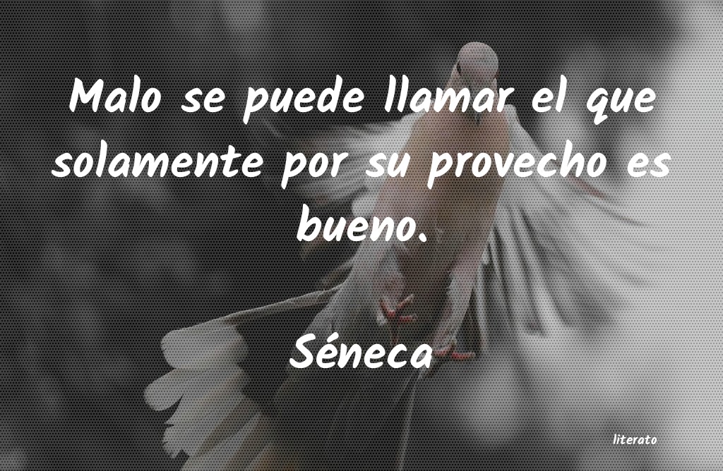 frases de SÃ©neca