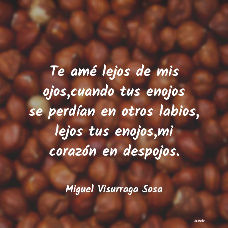 Frases de Miguel Visurraga Sosa