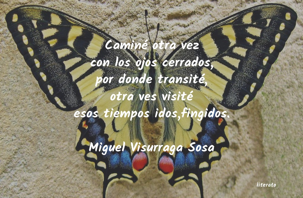 frases de Miguel Visurraga Sosa