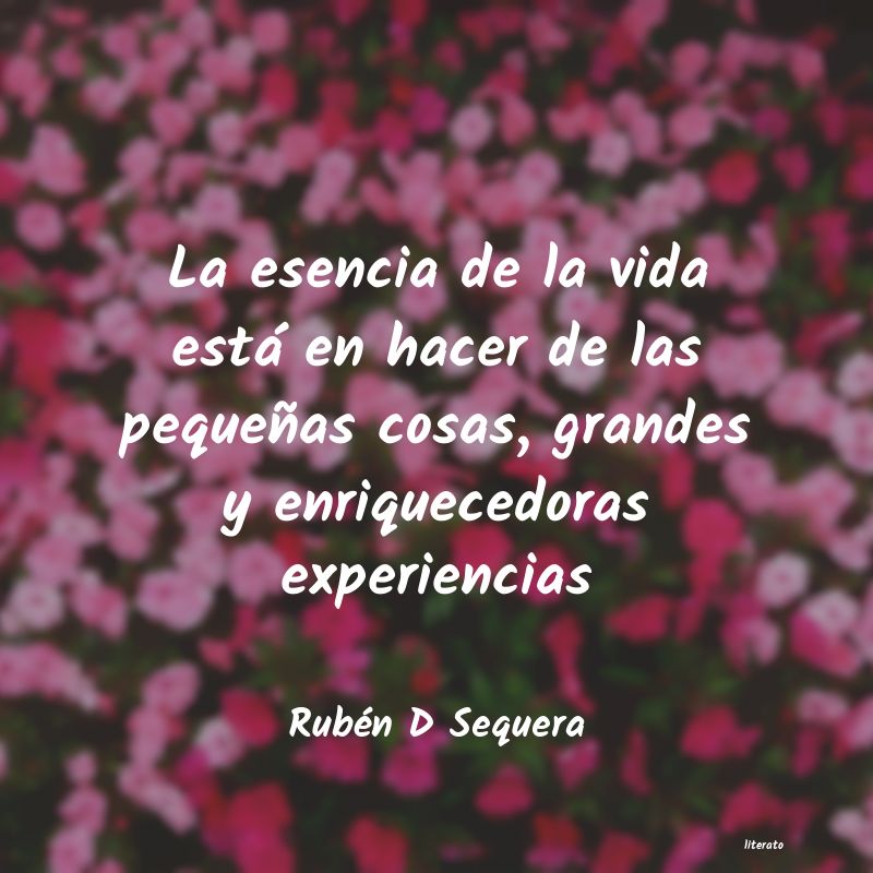 frases de Rubén D Sequera