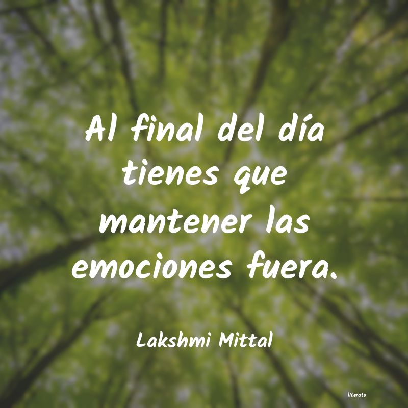 Frases de Lakshmi Mittal