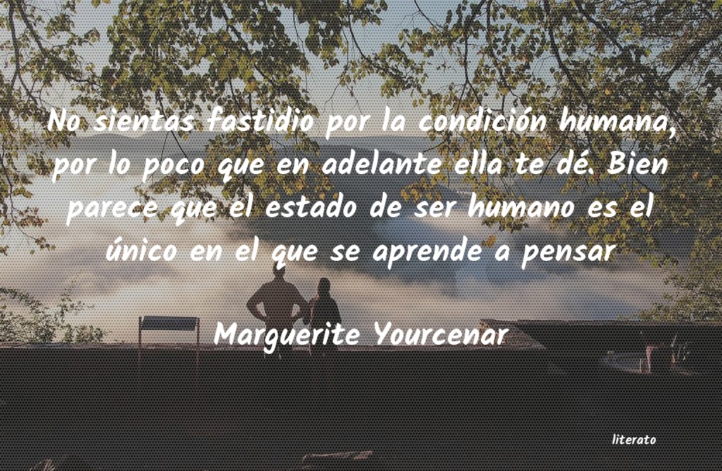 Frases de Marguerite Yourcenar