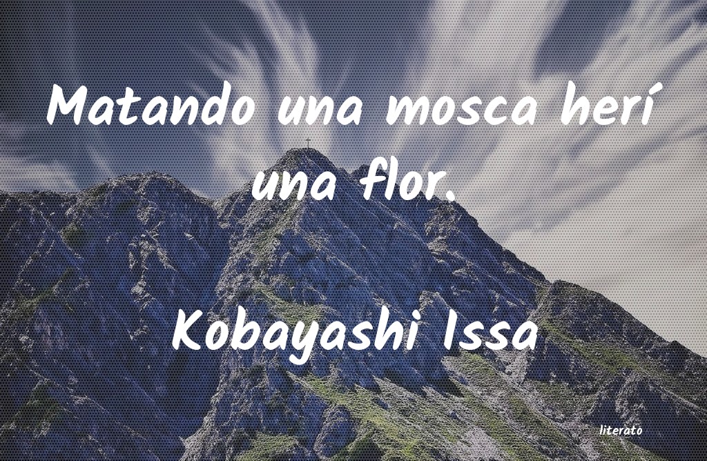 frases de Kobayashi Issa