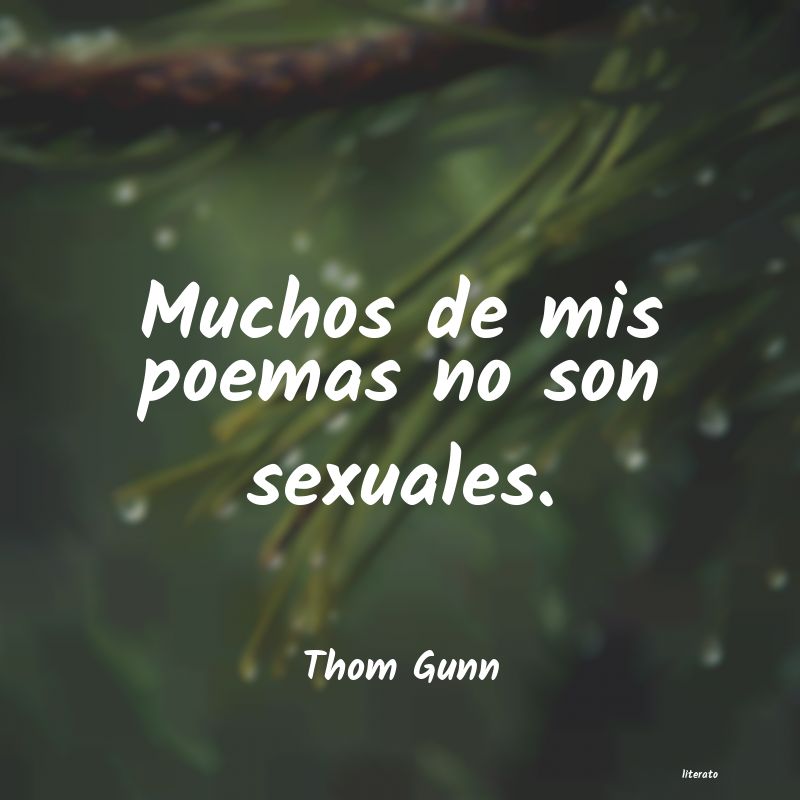 Frases de Thom Gunn