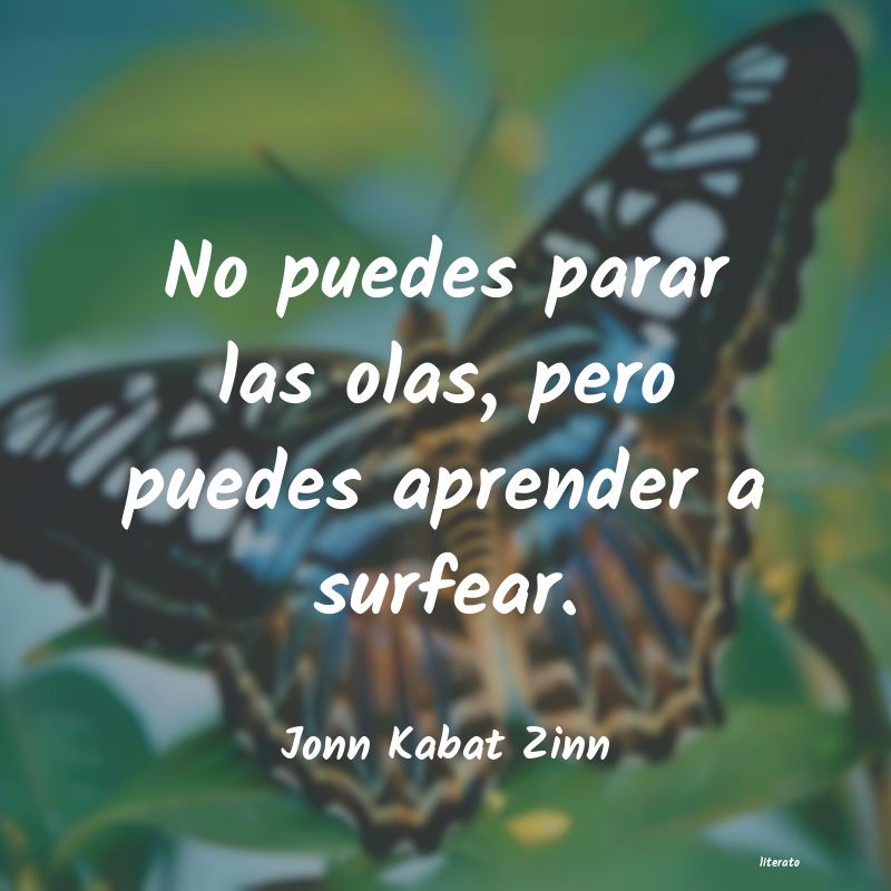 Frases de Jonn Kabat Zinn