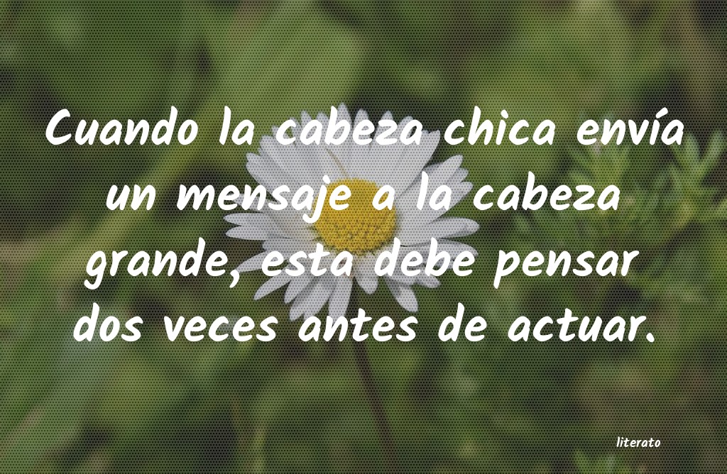 frases