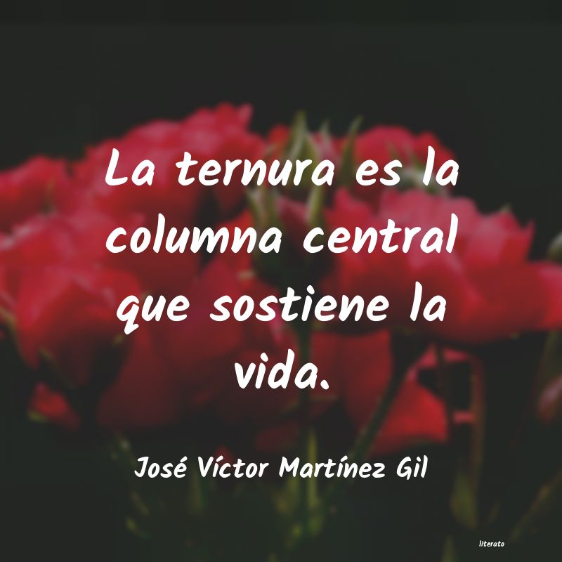 Frases de José Víctor Martínez Gil