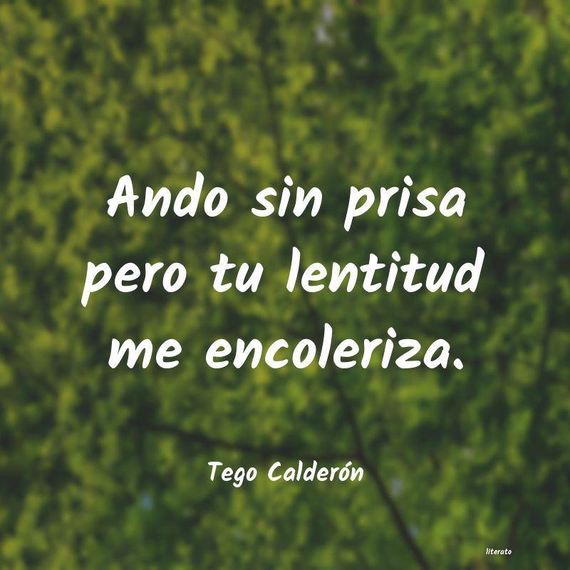 Frases de Tego Calderón