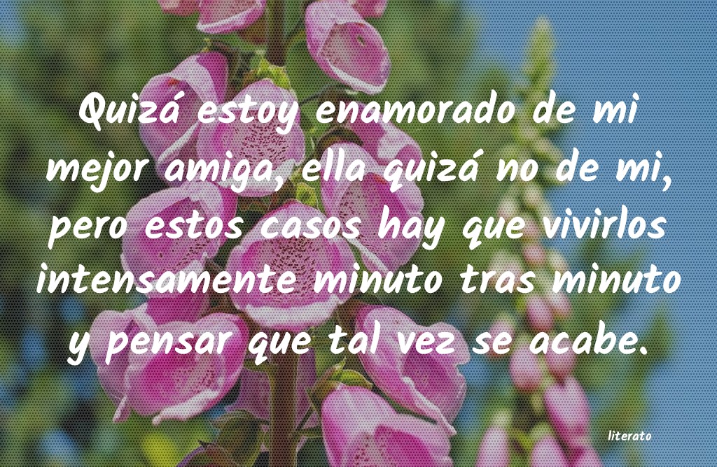 frases