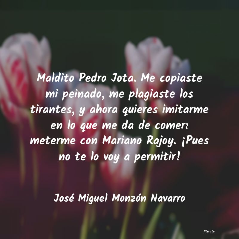 frases de José Miguel Monzón Navarro