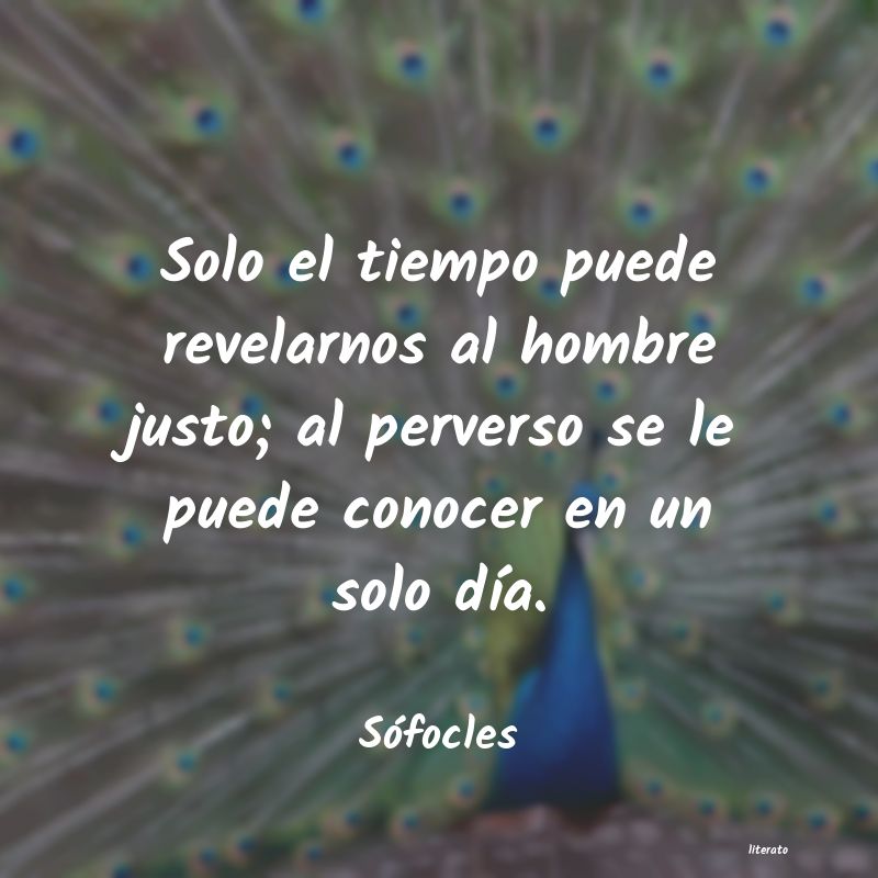 querer conocer