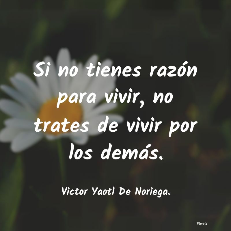 Frases de Victor Yaotl De Noriega.