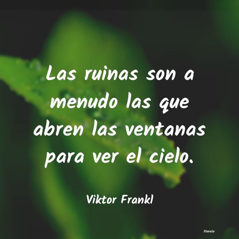 Frases de Viktor Frankl