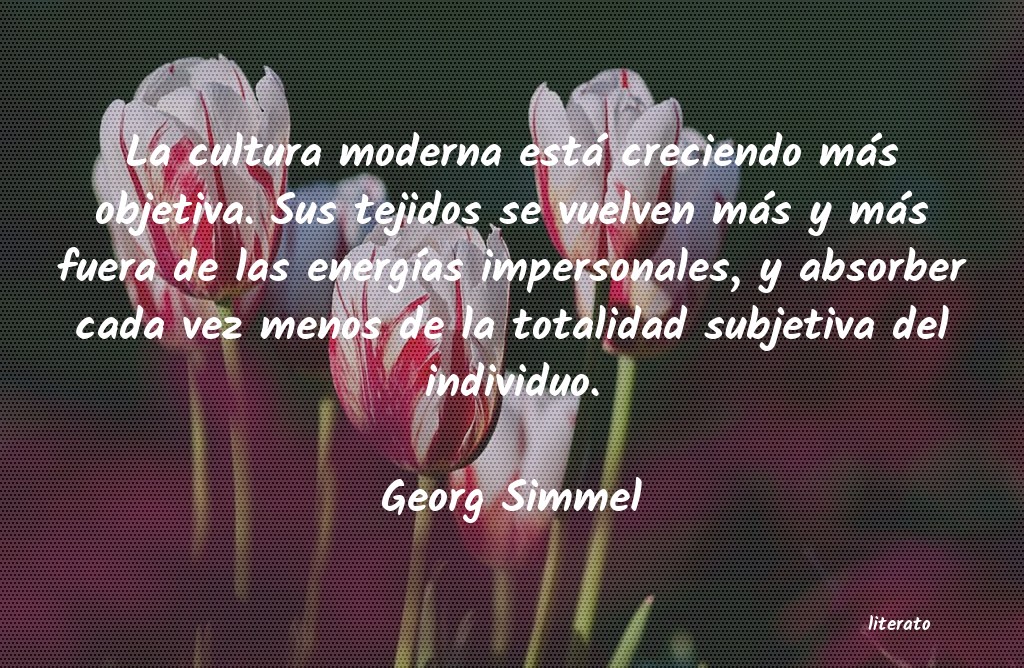 frases de Georg Simmel