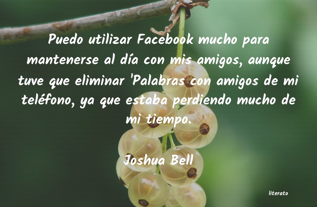 Frases de Joshua Bell