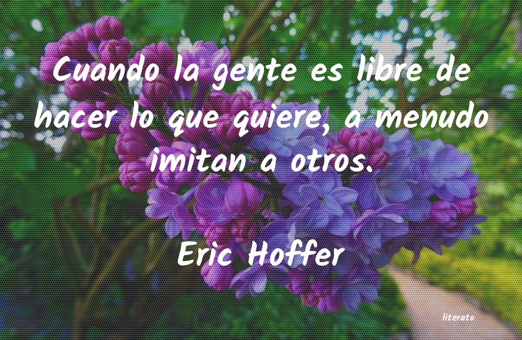 frases sarcasticas