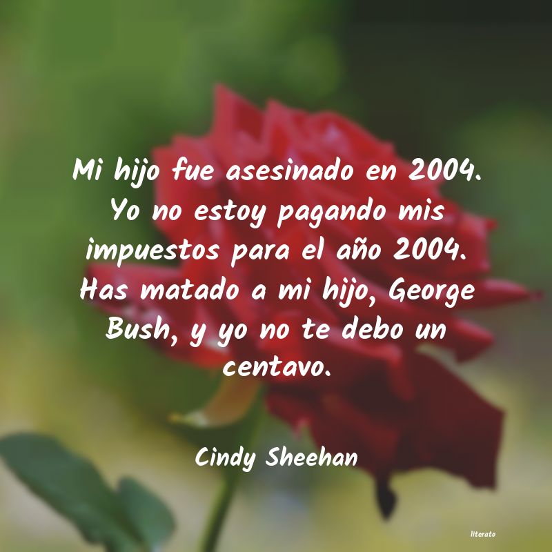 frases de Cindy Sheehan