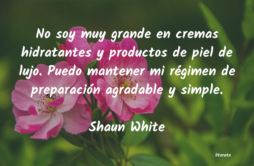 frases de Shaun White