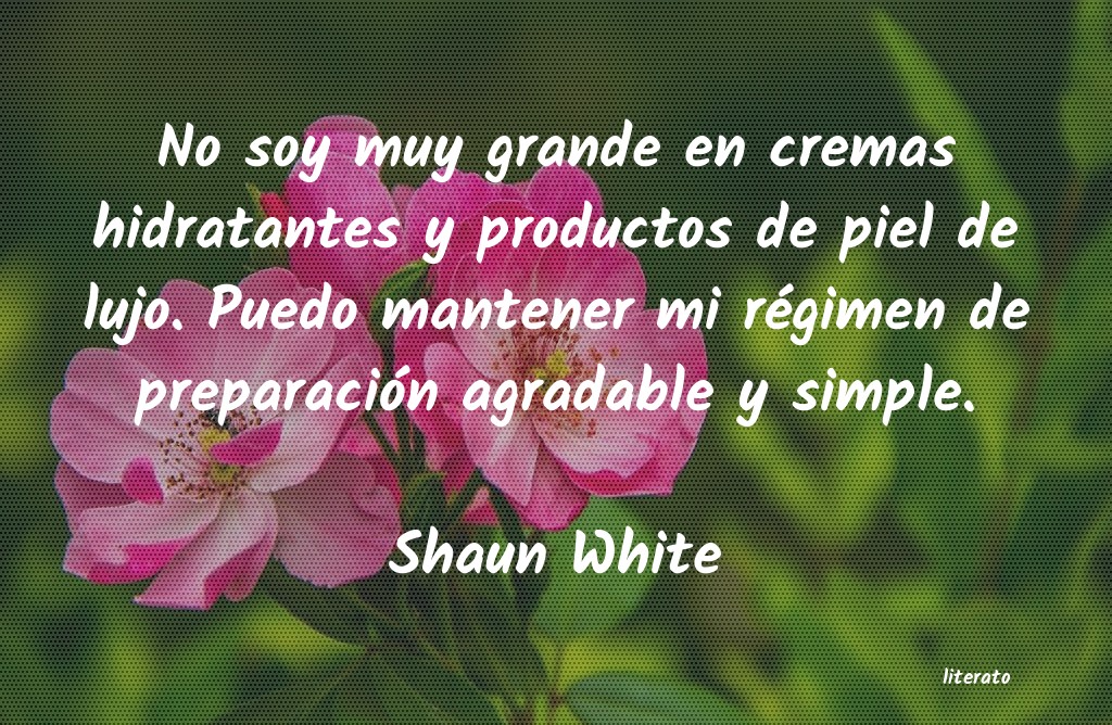 Frases de Shaun White