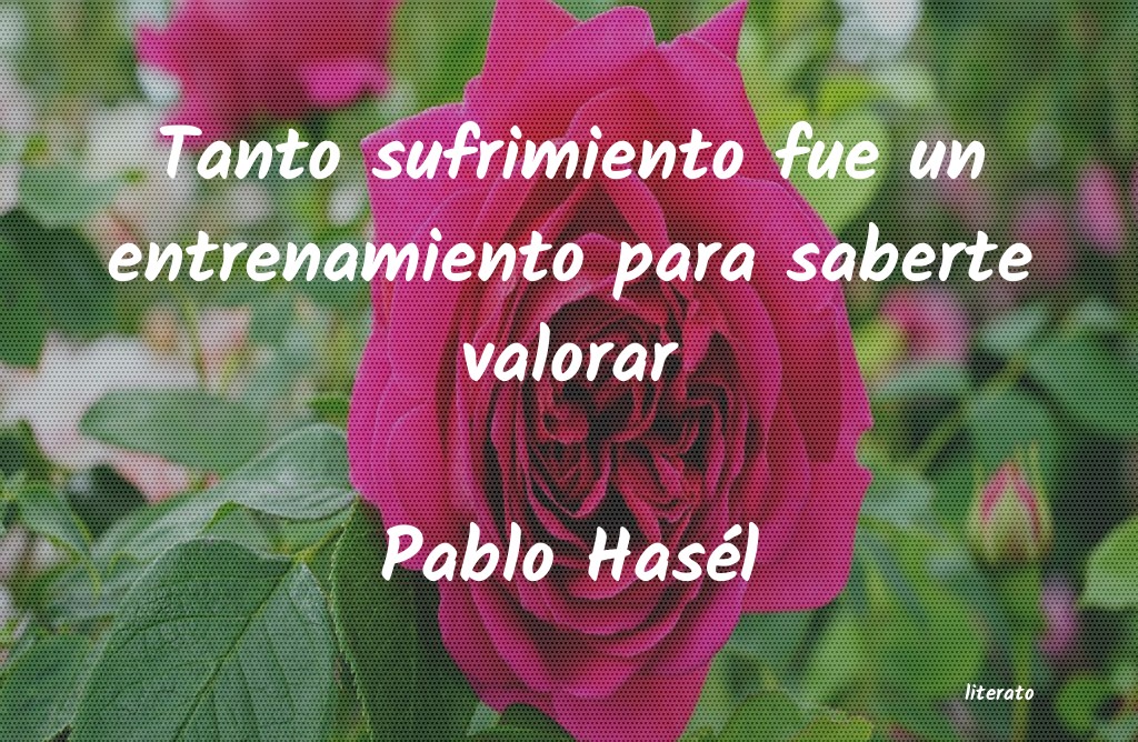 Frases de Pablo Hasél