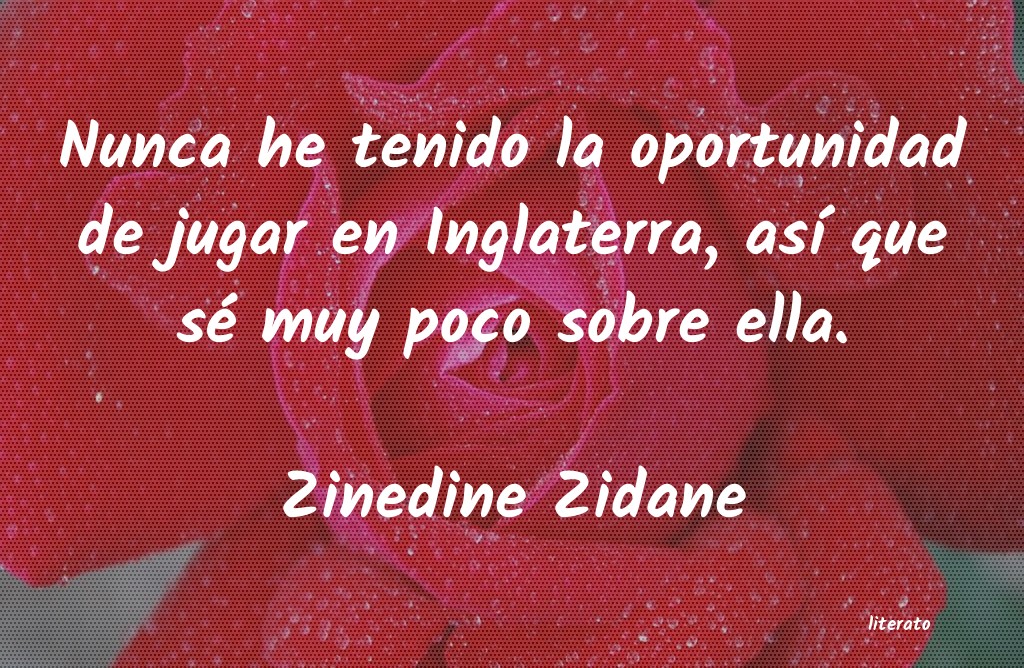 Frases de Zinedine Zidane