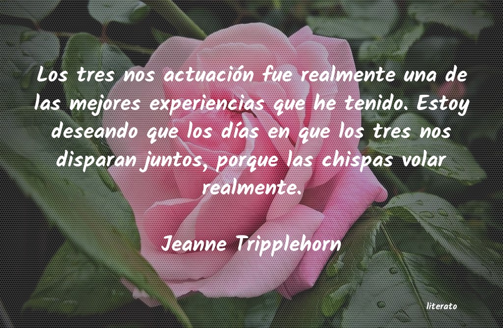 Frases de Jeanne Tripplehorn