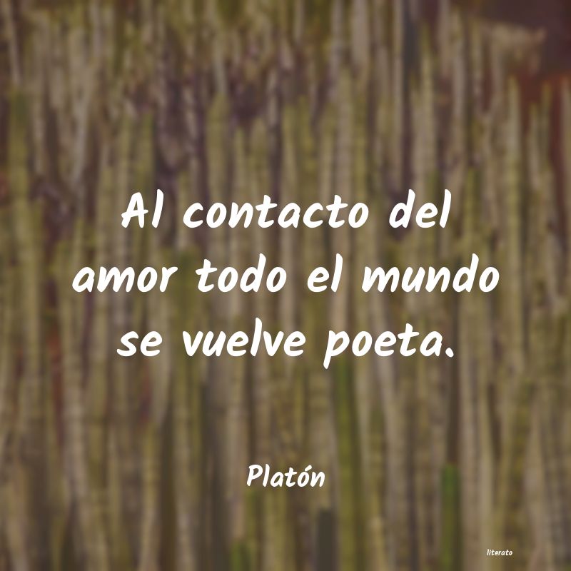 Frases de Platón