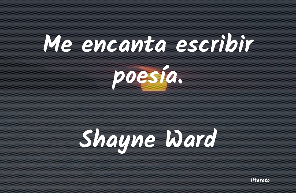 Frases de Shayne Ward