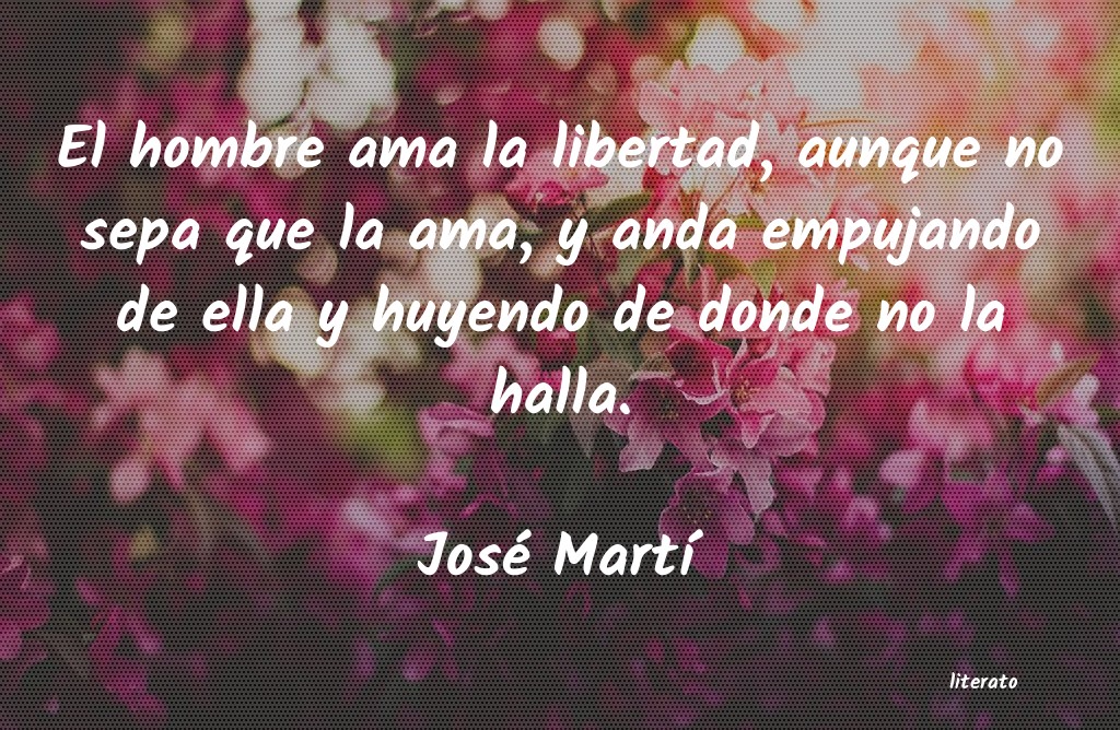 Frases de José Martí